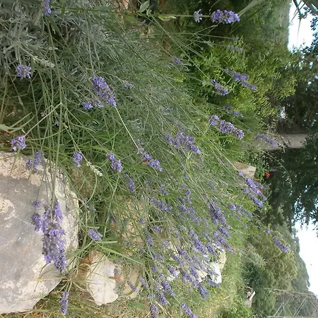 Monolocale Di Meo Lejlighed Suvereto