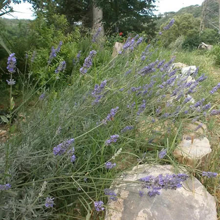 Monolocale Di Meo Suvereto