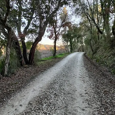 Monolocale Di Meo * Suvereto